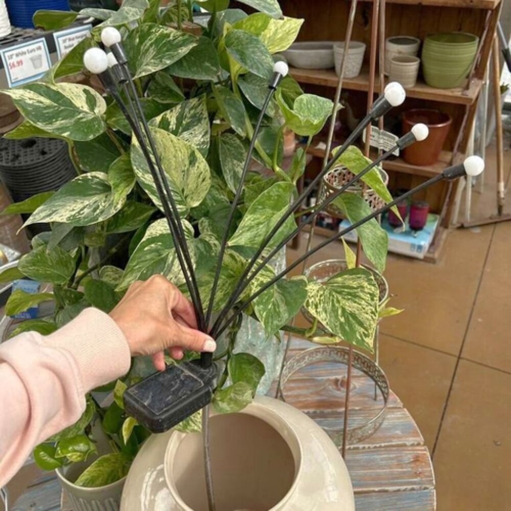 Streamlet Solar Firefly Lights, New